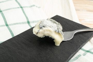 Traditional french Selles sur Cher cheese, rare goat cheese