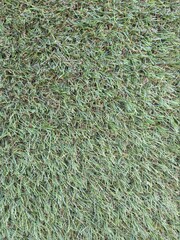 Background of texture photo.  Stone wall as a background or texture. High quality photo. Walking and finding texture.