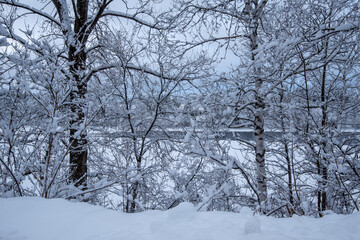 superb winter landscapes in Val-David -6