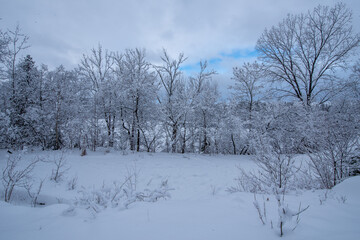 superb winter landscapes in Val-David -3