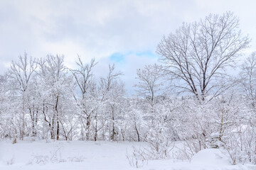 Fototapeta na wymiar superb winter landscapes in Val-David -2