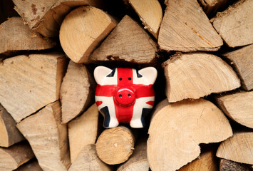 Wood shortage piggy bank