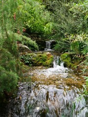 Giardino di Dublino