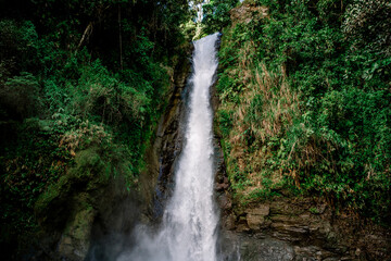 Water falling form a cascade in the middle of the jungle with green plants