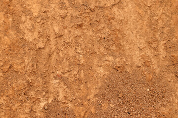 texture of the sand