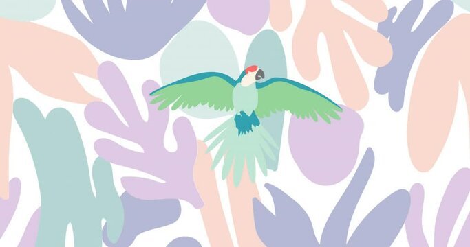 Animation of green parrot over shapes on white background