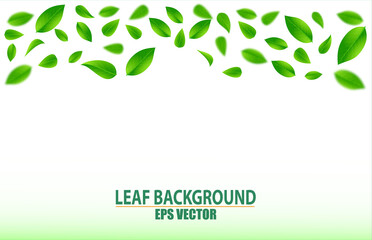 realistic flying green leaves background, blurred fresh leaf, green background ecology concept. 