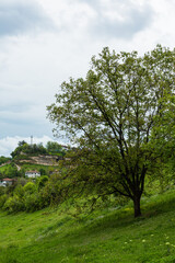トルコ　サフランボルの風景
