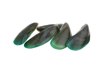 Fresh mussel on white background