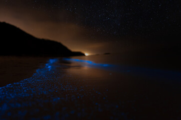 Bioluminescence Denmark