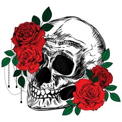 A bouquet of roses and a skull. Colored botanical line art illustration. Sketch. Gothic vintage tattoo.