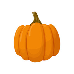 Orange pumpkin. Vegetable illustration isolated on white background.