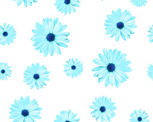Fototapeta na wymiar Seamless pattern of chamomiles with a blue center on a white background