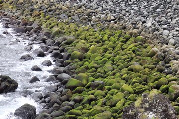 Bay of stones by the color green, Terceira Island, Azores