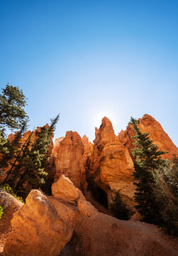 Navajo Loop Trail, Bryce Canyon National Park, Utah
