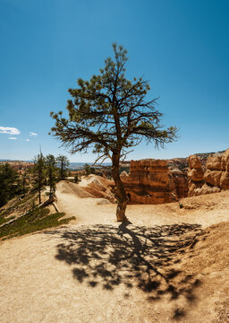 Navajo Loop Trail, Bryce Canyon National Park, Utah