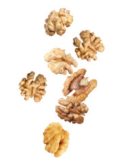 Halves of walnuts falling on white background