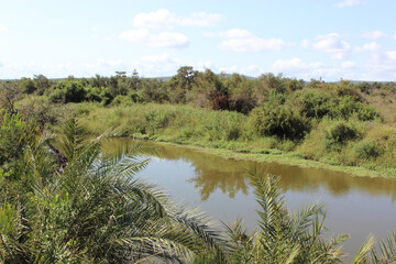 Ntandanyathi River / Ntandanyathi River /