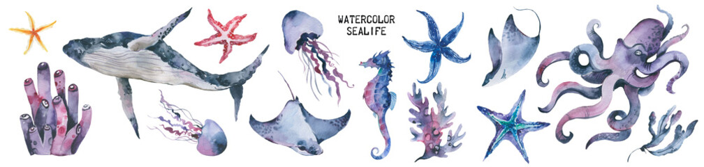 Sea Life Watercolor ocean animals set. isolated objects, illustrstion on white background. Aquarium background Nautical wildlife © Tatyana