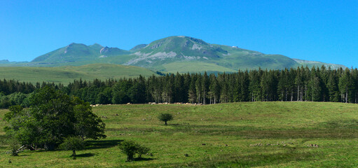 View of the Chaîne des Puys du Sancy in summer. Auvergne, France