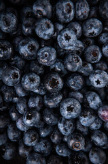 blueberries