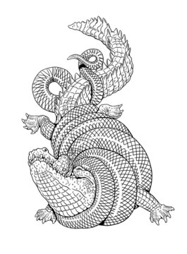 Alligator fight against anaconda. Gigantic crocodile and Python illustration. Template for coloring.	