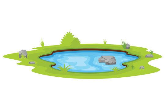 Natural pond outdoor vector illustration