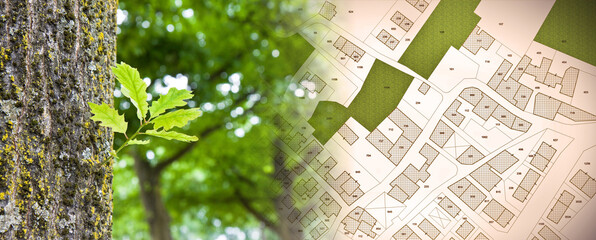 Green project in cities, reconnecting nature and city - concept with leaf of a tree in a public...