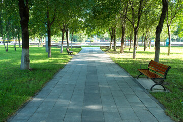 The sun shines on the trees and lawns of the city park