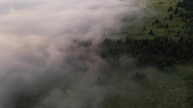 Drone flyght over flowing morning fog in summer mountains. Beautiful sunrise light glowing on forest, medows and green hills. UHD 4k video