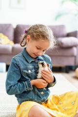 happy little girl is holding a young fluffy guinea pig in her arms, stroking it and hugging it. A pet, a rodent, her friend. Pet care. Training in responsibility and care of an animal.