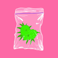 cannabis bud in bag