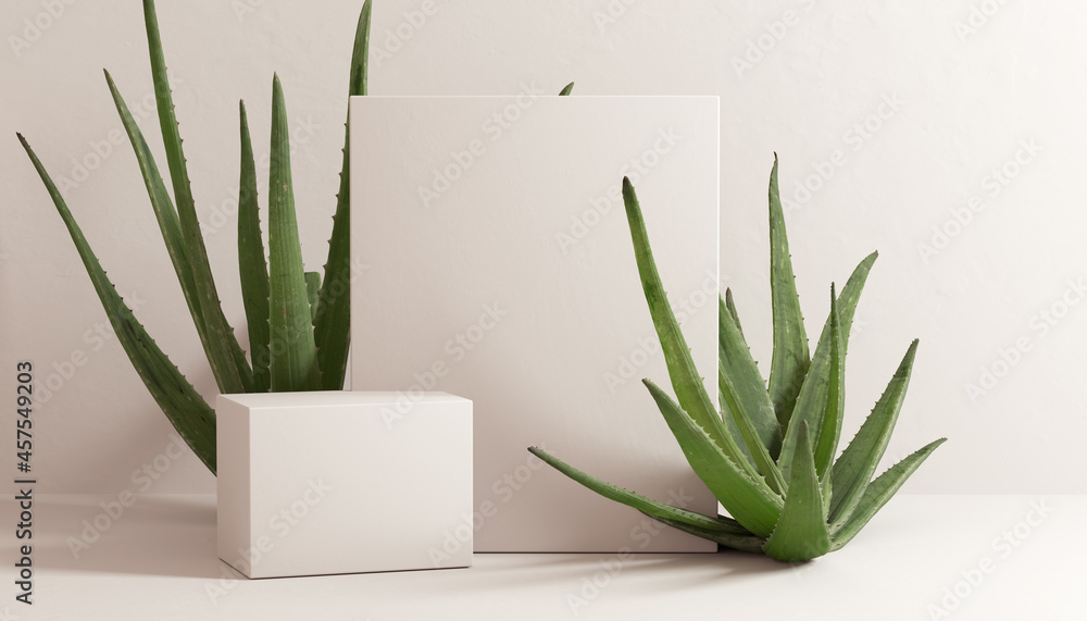 Canvas Prints aloe vera minimal scene cosmetic product presentation template. beige pastel background with natural