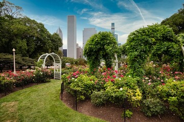 View from Maggie Daley Park in Chicago