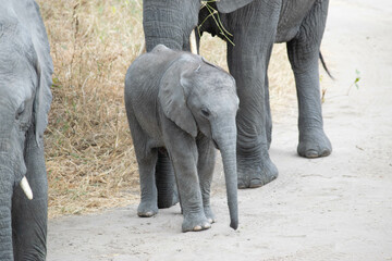 tanzania