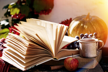 Cozy autumn background: open book with cup of tea, grapes, viburnum, pumpkin and cinnamon sticks on wooden table. Thanksgiving Day concept. Outdoor still life with trendy shadows.