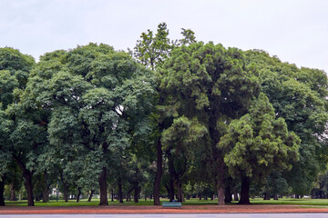 Buenos Aires