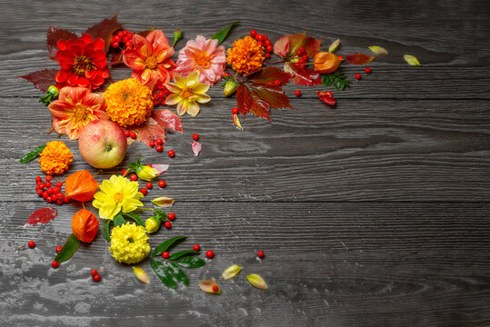 Autumn background with colorful leaves, vibrant flowers and pumpkins on a rustic dark board. Thanksgiving and Halloween holidays concept. Harvest rural fall season. Place for your text. autumn card