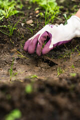 Ramassage de mauvais herbes dans un jardin