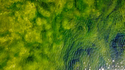 View of the waves in the water in the river and green algae. Beautiful texture with a green tint. Slunj. Croatia. Europe