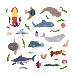 Design template with sea animal in square for kid print. Rectangle composition of marine animals, squid, hammerheand shark, beluga and lobster, narwhale. Vector set of underwater life