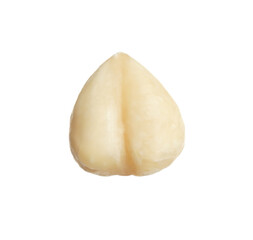 Tasty organic hazelnut isolated on white. Healthy snack