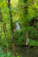 waterfall and lake