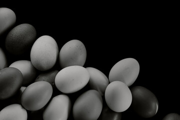 Bunch of chicken eggs on black background with copy space.