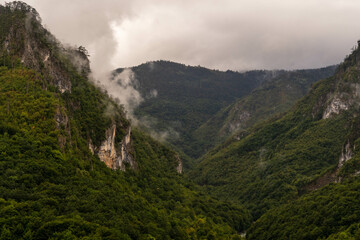 hills and green vegetation