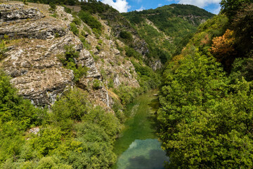 hills and green vegetation