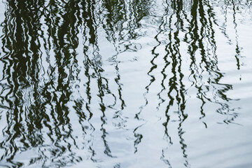 Obraz premium Rippled water surface with reflections of coastal grass