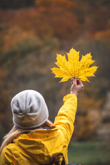 Woman with knit hat holding yellow maple leaf. Symbol of changing season. Enjoyment of autumn hike.