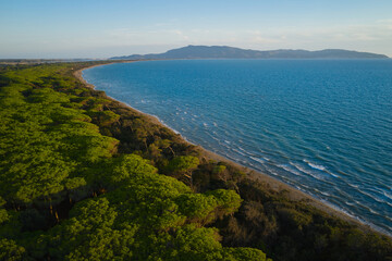 aerial view of the coastal pine forest of the western orbetello lagoon in Tuscany