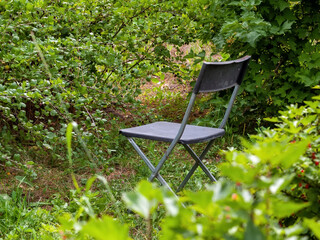 folding chair in the garden